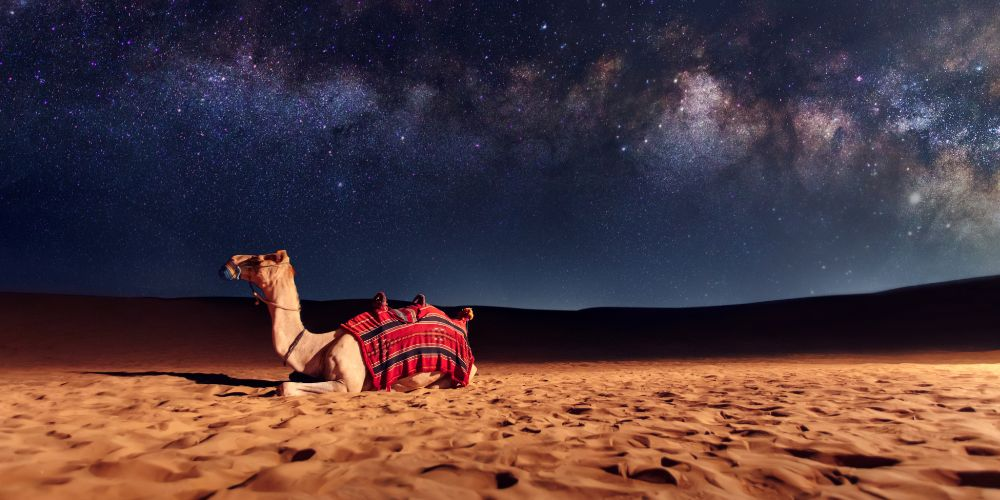 things to do in Jaisalmer